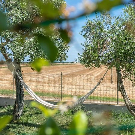 Ortopi Country Canapa House Porto Recanati Dış mekan fotoğraf