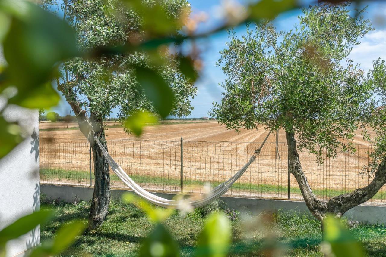 Ortopi Country Canapa House Porto Recanati Dış mekan fotoğraf